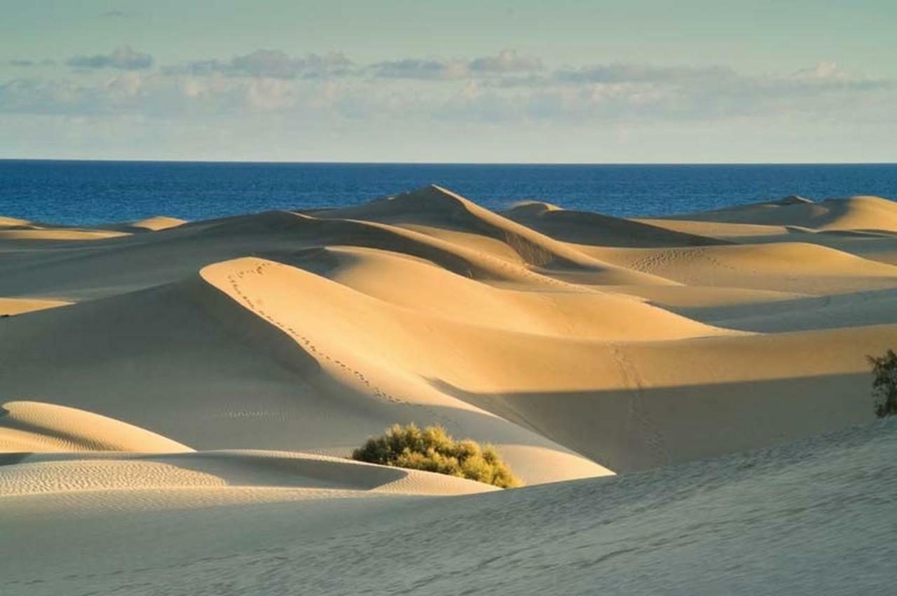 Las Olas Beach Playa del Inglés Zewnętrze zdjęcie